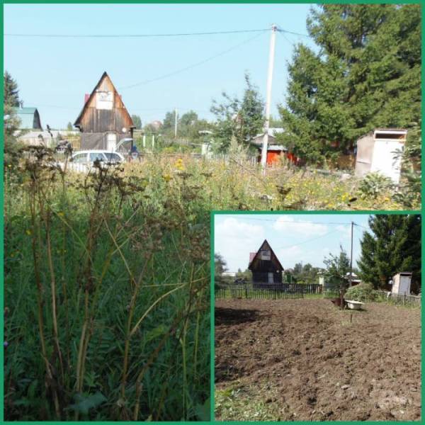 Наши работы по благоустройству участков  в Центральном округе Краснодара