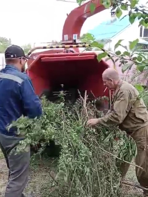 Фото измельчения отходов мульчером